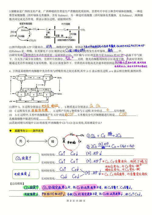 暗3(暗黑破坏神3怎么进入大秘境)