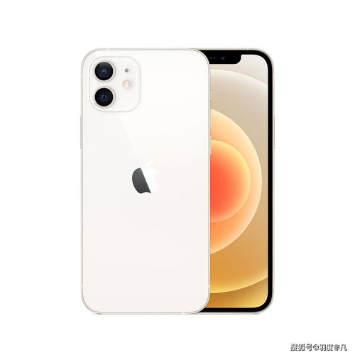 iphone12或于14日发布(苹果12什么时候上市的)