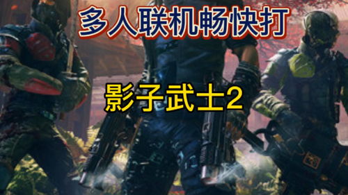 影子武士2(影子武士2英文)