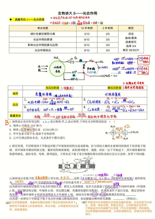 暗3(暗黑破坏神3怎么进入大秘境)