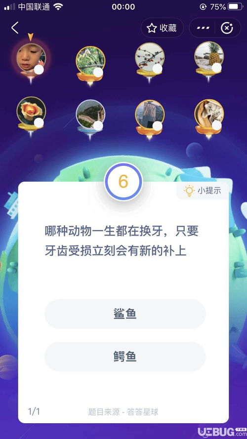 什么动物一生都在换牙(鲨鱼一生是否一直在掉牙？它们为何会掉牙？)