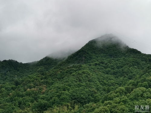 雨后小故事表情(家教的故事qq表情)