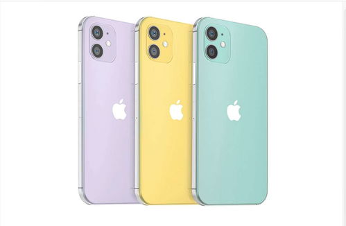 iPhone12售价曝光(iphone12上市时间及各机型配置参数)