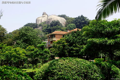 不登不算到厦门(求福建旅游攻略，如何安排游玩行程，推荐哪些食宿地点？)