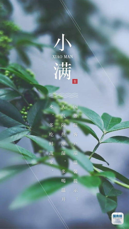 许多地方在小满这一天吃什么菜(小满时节适合吃什么蔬菜)