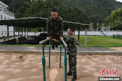 这是警察(《这是警察》牙医连环谋杀案破案详细攻略)